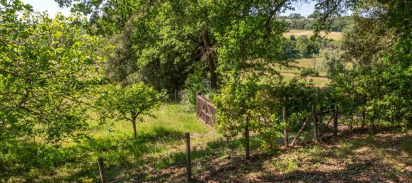 Terreno T4 em Calvi dell'Umbria, Italy N.º 138210 9