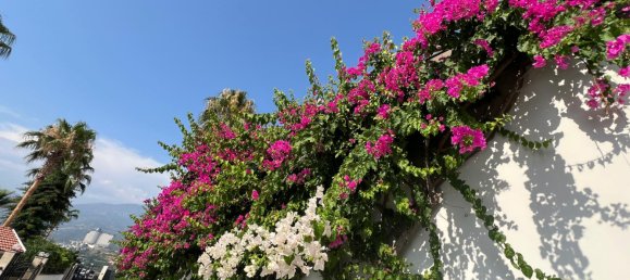 6 rooms Villa in Kargicak, Turkey No. 22686 11