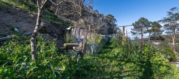 2 bedrooms House in Vila Nova de Famalicao, Portugal No. 157244 36