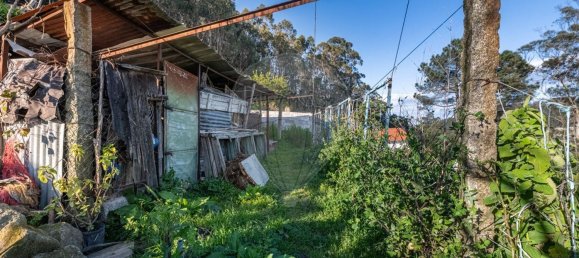 2 bedrooms House in Vila Nova de Famalicao, Portugal No. 157244 37