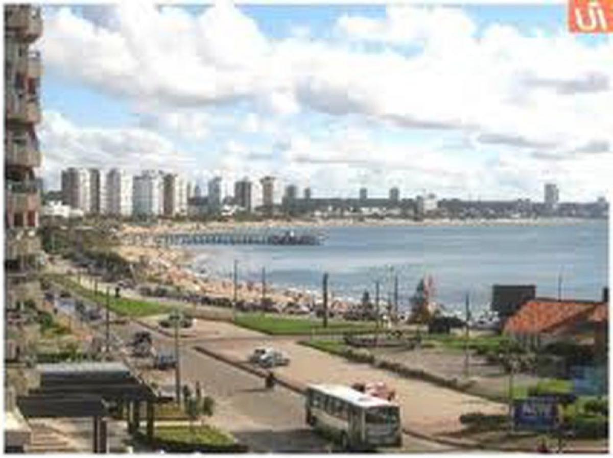 4 bedrooms Apartment in Maldonado, Uruguay No. 7727