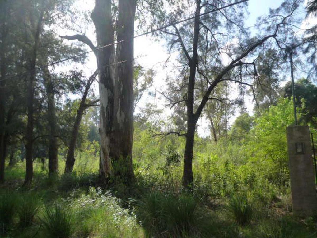 Terreno en Pilar, Argentina No. 33942