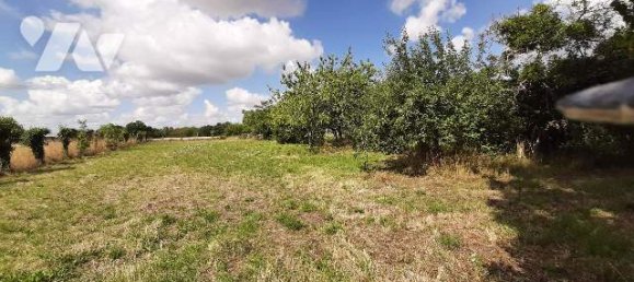 Casa T2 em Luzille, France N.º 335594 9