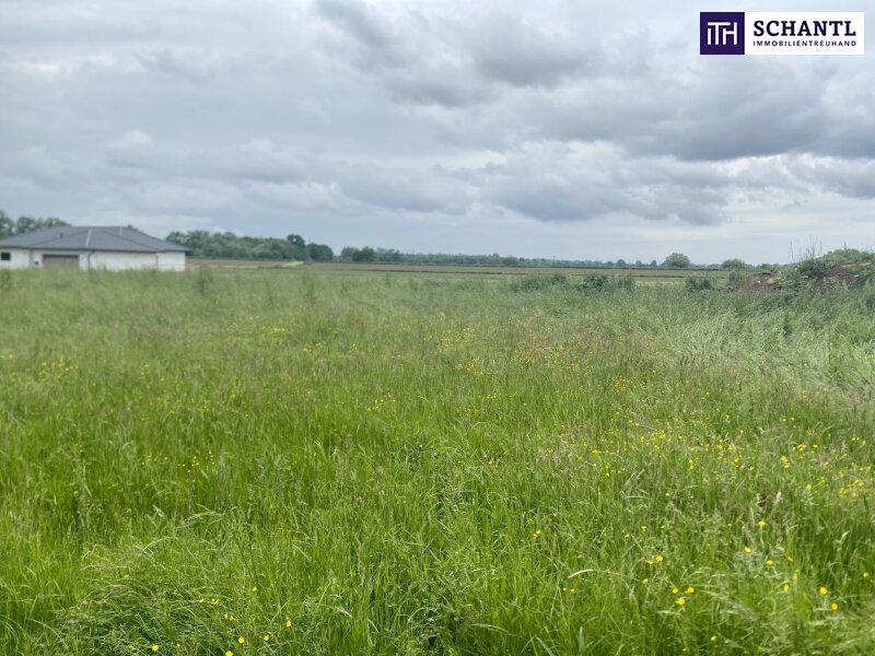 Grundstück in Rudersdorf, Austria, Nr. 112450