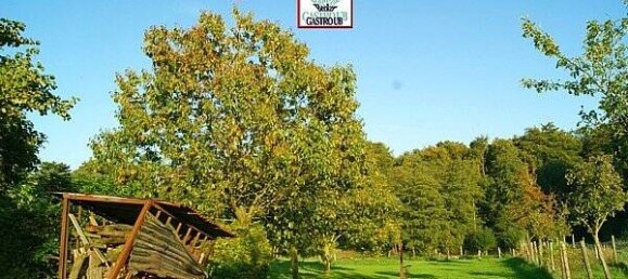 8-Zimmer Hotel in Stade, Germany, Nr. 56228 2