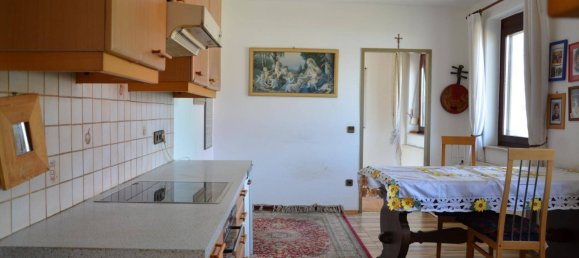 5 rooms House in Orth an der Donau, Austria No. 143019 13