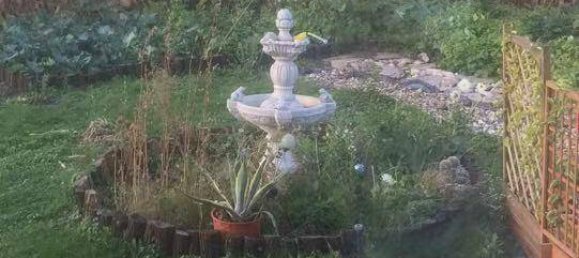 5 rooms House in Orth an der Donau, Austria No. 143019 3