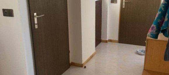 5 rooms House in Orth an der Donau, Austria No. 143019 10