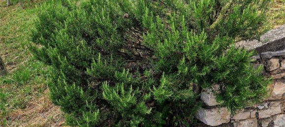 2 chambres Maison à Vittorio Veneto, Italy No. 22611 2