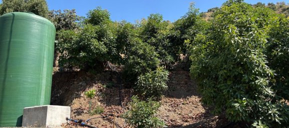 Terrain à Malaga, Spain No. 163934 7