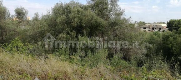  قطعة أرض في Pachino, Italy 3750متر مربع رقم 66634 5