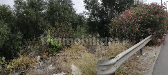  قطعة أرض في Pachino, Italy 3750متر مربع رقم 66634 6
