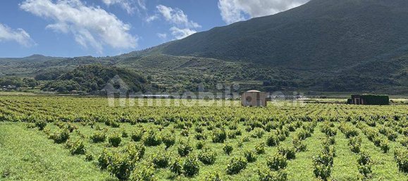 1 bedroom House in Pantelleria, Italy No. 115755 2