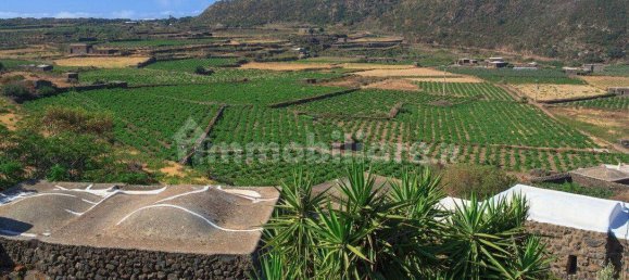 1 bedroom House in Pantelleria, Italy No. 115755 3