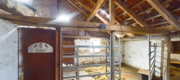 25 غرف نوم مزرعة في Emsland, Germany رقم 295105 13