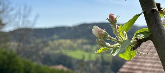 Casa T5 em Gerardmer, France N.º 273741 18