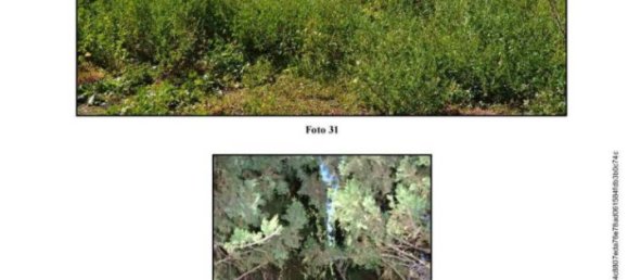 5 غرف نوم فيلا في Somma Vesuviana, Italy رقم 13850 14