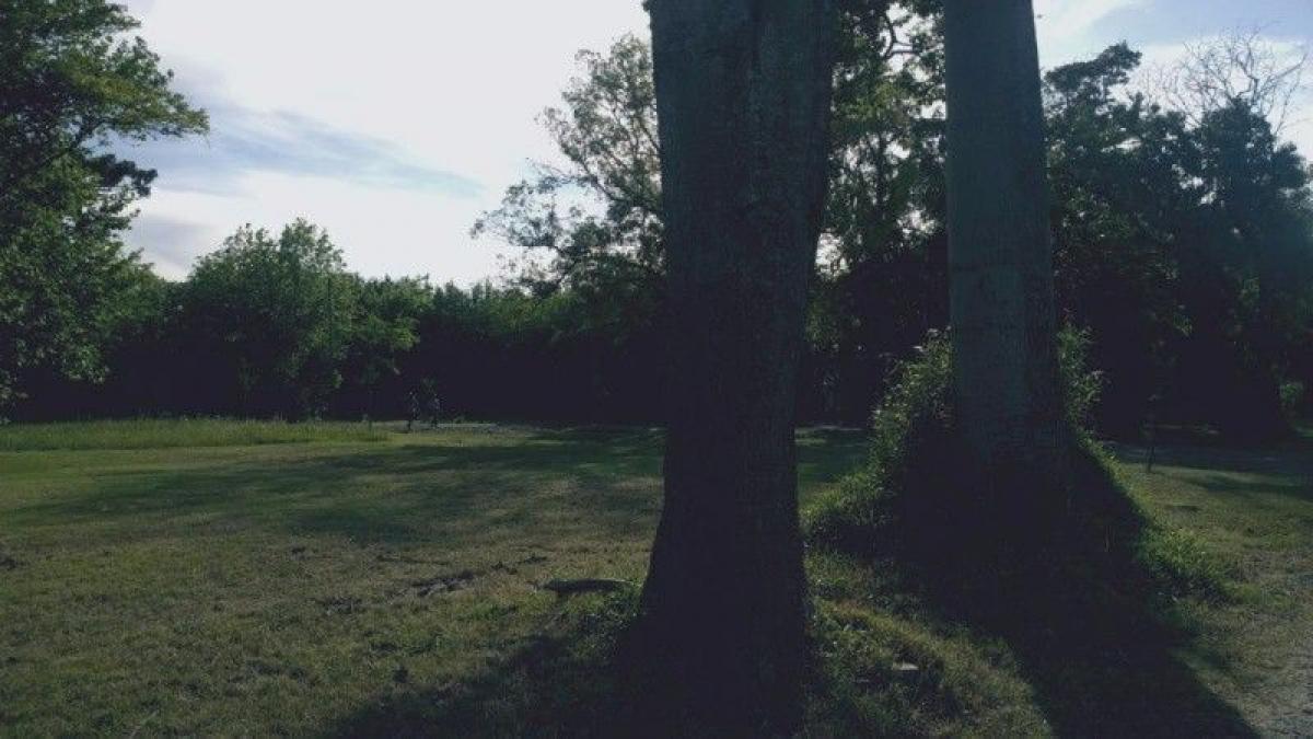  Land in Moreno, Argentina No. 45940