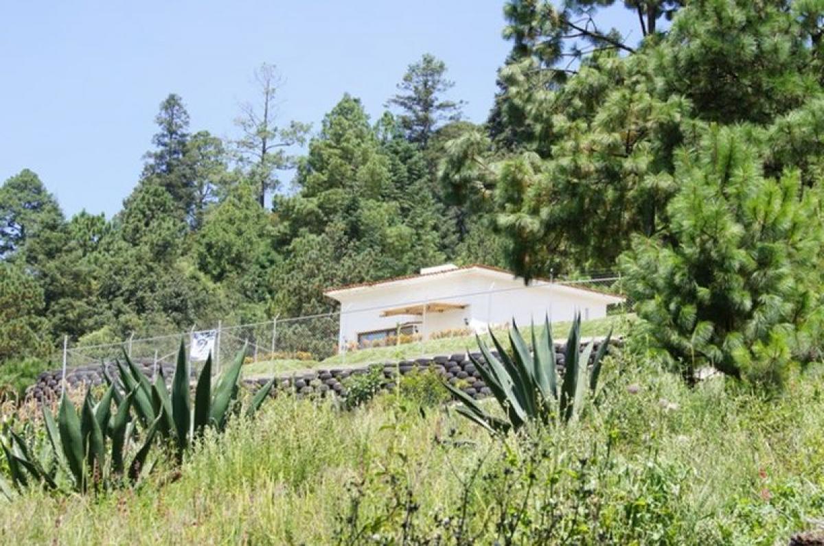 Studio in Lerma, Mexico No. 220383