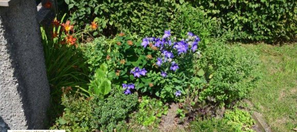 8 rooms House in Seekirchen am Wallersee, Austria No. 192246 8