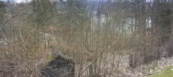 Terrain à Vogtlandkreis, Germany No. 22195 6