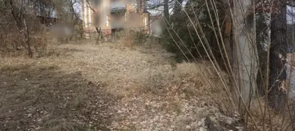 Terrain à Vogtlandkreis, Germany No. 22195 5