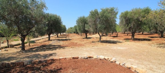 2 Schlafzimmer Villa in Ostuni, Italy, Nr. 381946 2