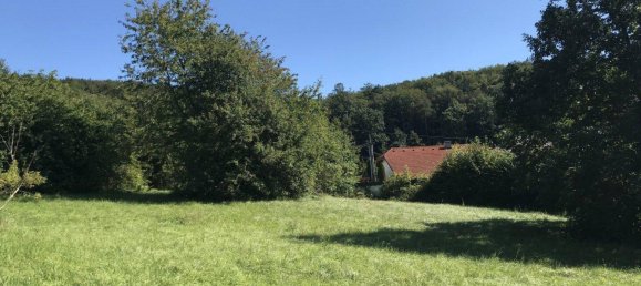 Terreno de 4 habitaciónes en Wienerwald, Austria No. 41581 4