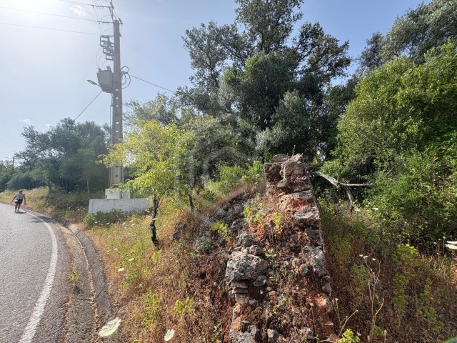  Land in Salir, Portugal No. 242246