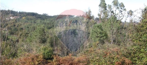 2 bedrooms House in Beco, Portugal No. 167412 6