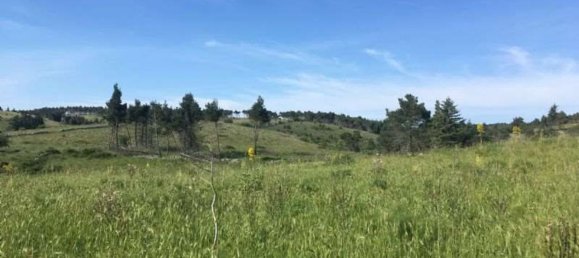 8غرفة منزل في Bitonto, Italy رقم 85416 7