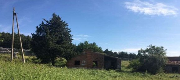 8غرفة منزل في Bitonto, Italy رقم 85416 4