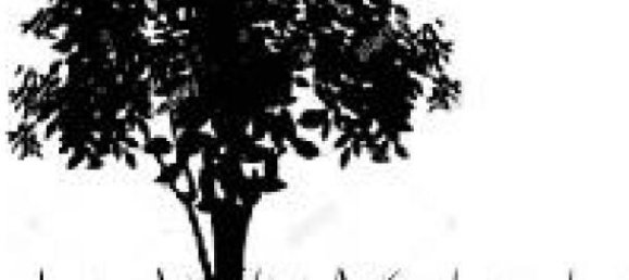 Terreno em Boursin, France N.º 82187 2