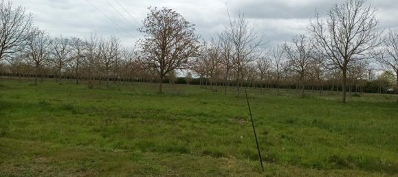 4 Schlafzimmer Haus in Sandillon, France, Nr. 72831 14