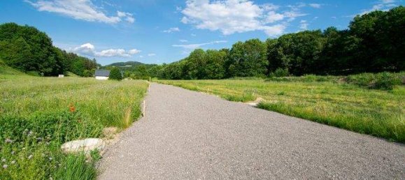 Terrain à Wilhelmsburg, Austria No. 27476 10