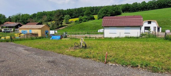 Terrain à Wilhelmsburg, Austria No. 27476 7