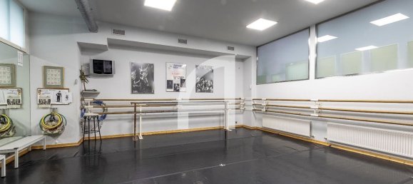 Gewerbliche Immobilie in Basque Autonomous Community, Spain 360m², Nr. 157148 8