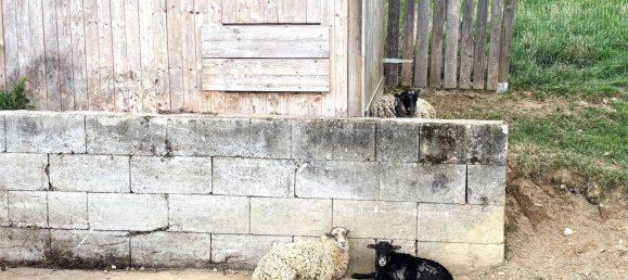 160m² Land in Volkermarkt, Austria No. 193626 32