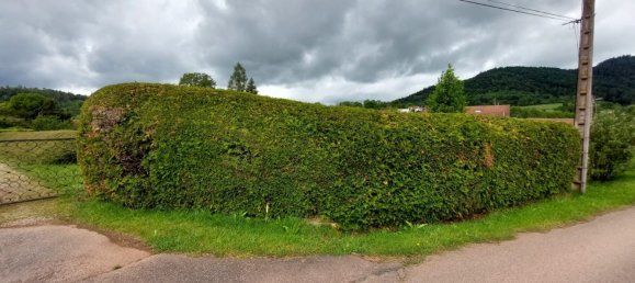 Земельный участок 1625м² в Сен-Дье, Франция № 91345 5