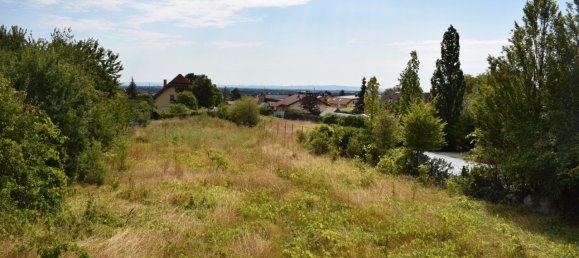 Terrain à Sooss, Austria No. 126693 2
