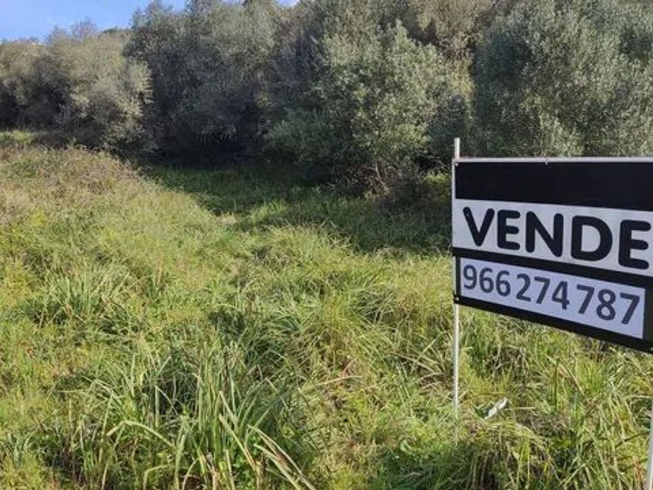 Земельный участок в Синтра, Португалия № 253407