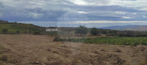 Grundstück in Sao Joao da Pesqueira, Portugal 7840m², Nr. 72710 2