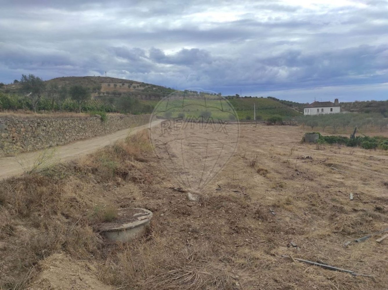 Grundstück in Sao Joao da Pesqueira, Portugal 7840m², Nr. 72710