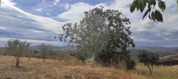 Grundstück in Sao Joao da Pesqueira, Portugal 7840m², Nr. 72710 6