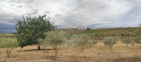 Grundstück in Sao Joao da Pesqueira, Portugal 7840m², Nr. 72710 5