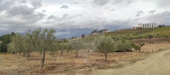 Grundstück in Sao Joao da Pesqueira, Portugal 7840m², Nr. 72710 3