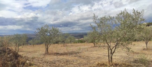 Grundstück in Sao Joao da Pesqueira, Portugal 7840m², Nr. 72710 4