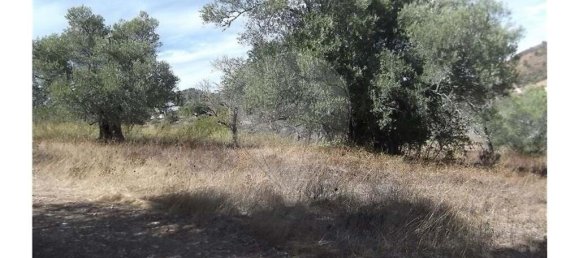 1 bedroom Villa in Santa Catarina da Fonte do Bispo, Portugal No. 163899 13