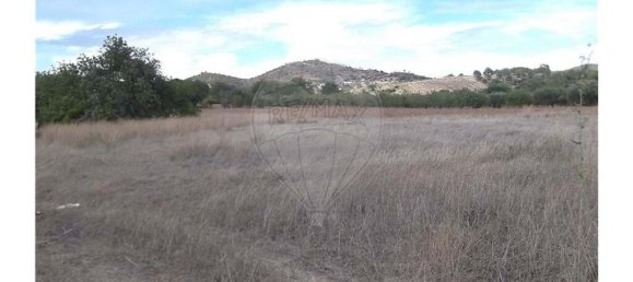 1 bedroom Villa in Santa Catarina da Fonte do Bispo, Portugal No. 163899 7