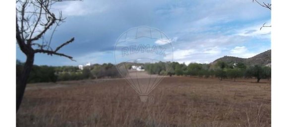 1 bedroom Villa in Santa Catarina da Fonte do Bispo, Portugal No. 163899 25